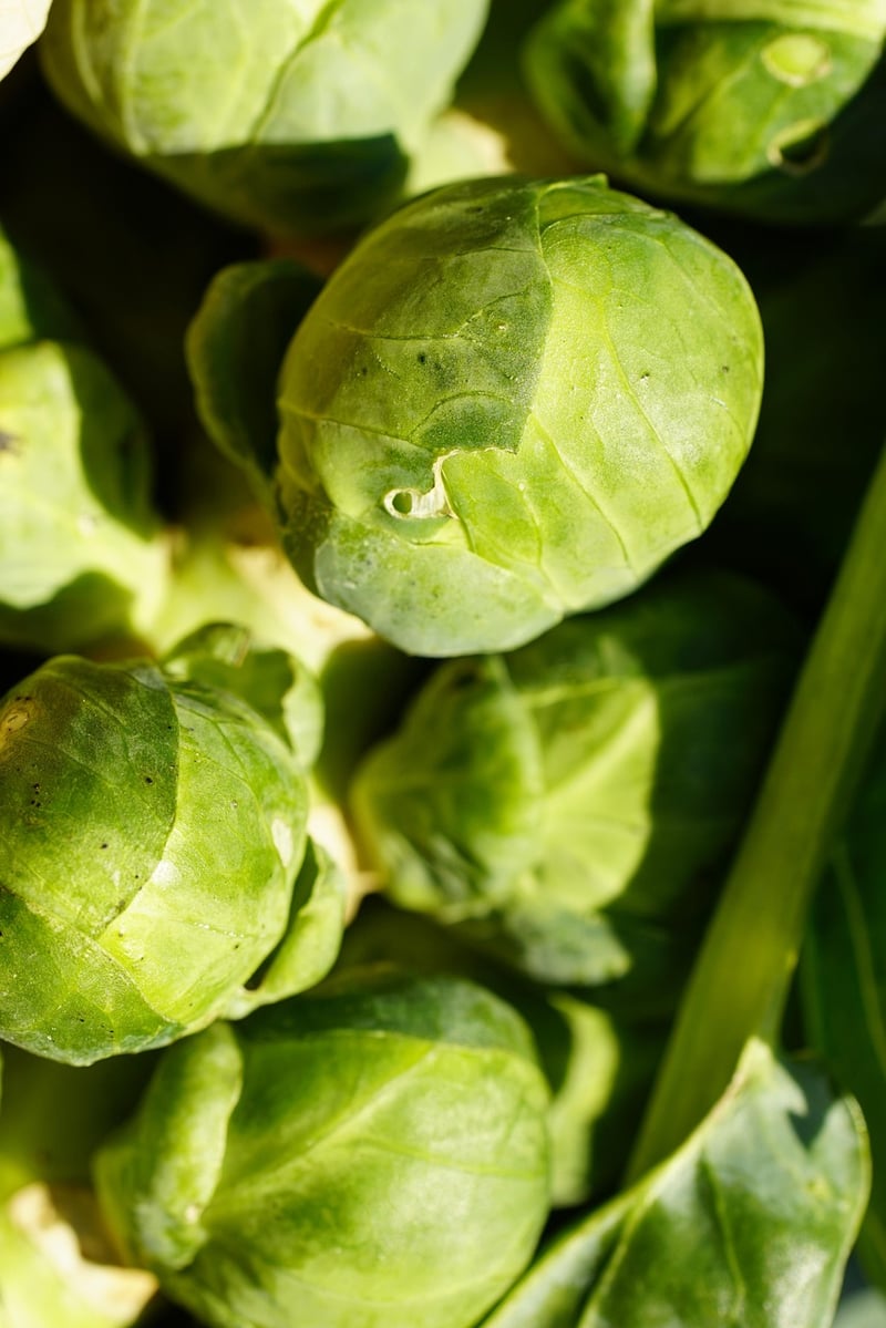 Roasted Brussels Sprouts